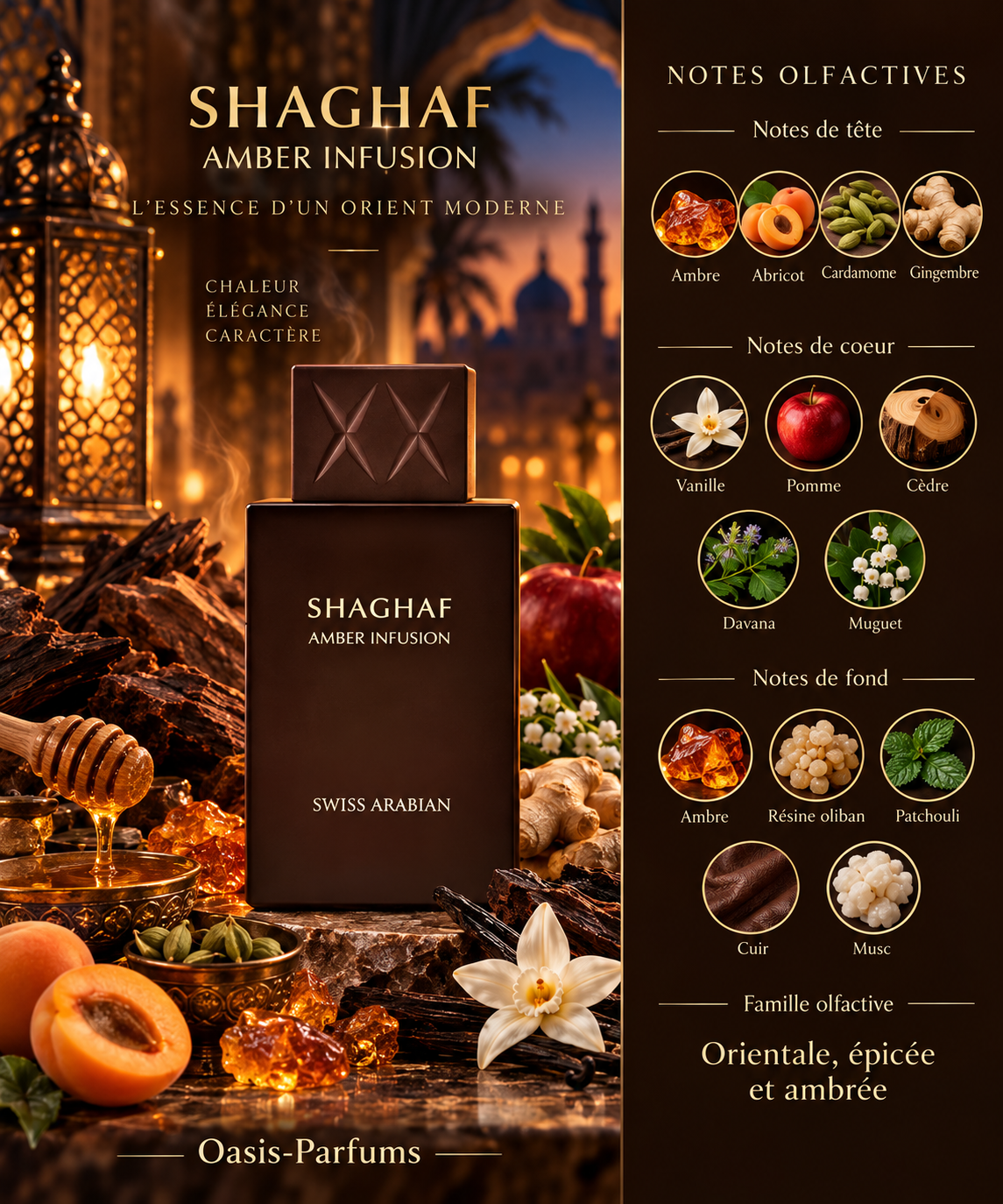 Shaghaf Amber Infusion - Swiss Arabian - Parfum Unisexe 75ml Oriental,Ambré, Boisé