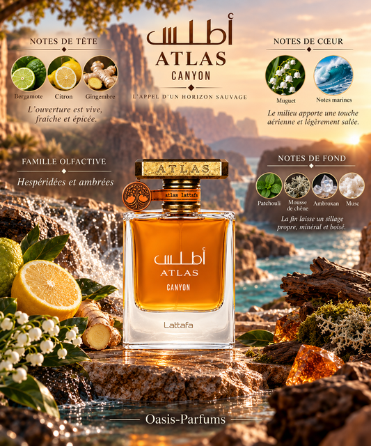 Atlas Canyon - Lattafa - Eau de Parfum unisexe 55ml Hespéridée, Ambrée, Marine